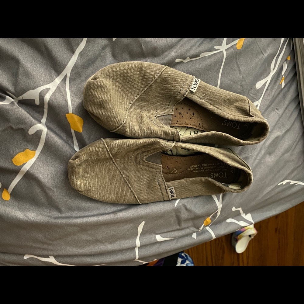 grey toms